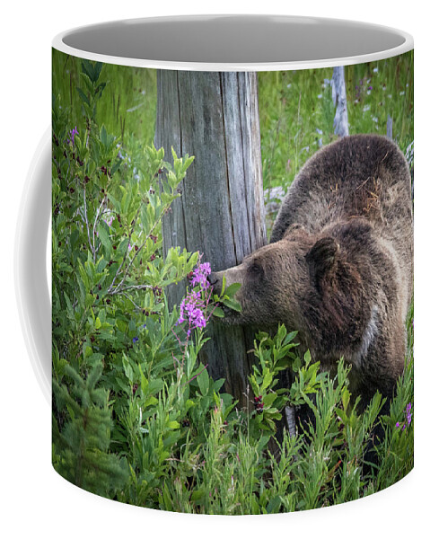 Bear Coffee Mug featuring the photograph Flower Pwoer by Peter Mangolds