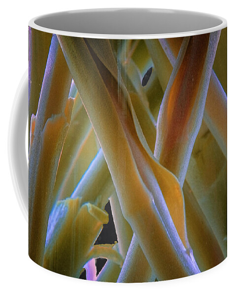 Clematis Vine Coffee Mug featuring the photograph Flower Stems by Tom Singleton