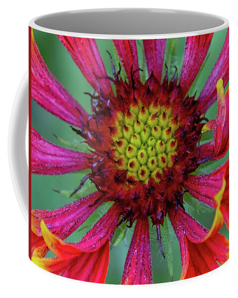 Flower Coffee Mug featuring the photograph Flower by Tam Ryan