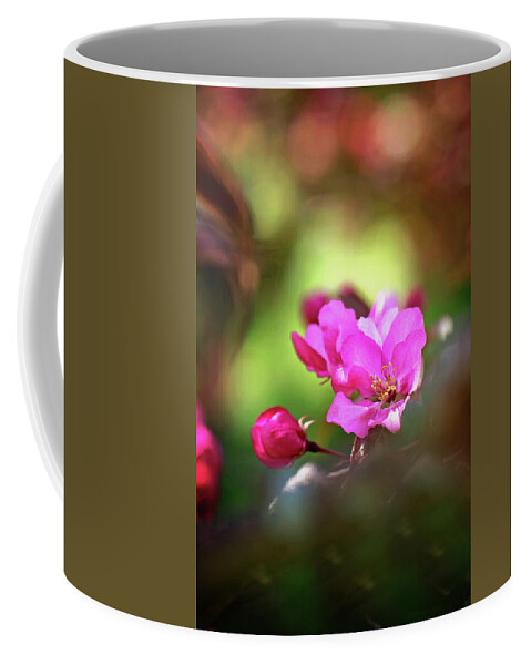 Flowering Crabapple Blossom Print Coffee Mug featuring the photograph Flowering Crabapple Blossom Print by Gwen Gibson