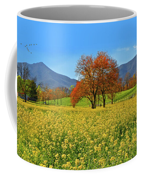 Peaks Of Otter Coffee Mug featuring the photograph Flowering Meadow, Peaks of Otter, Virginia. by The James Roney Collection
