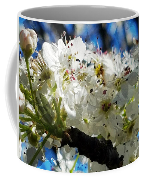 Flowering Pear Coffee Mug featuring the photograph Flowering Pear by Maria Urso