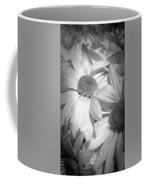 Flowers Coffee Mug featuring the photograph Flowers by Amanda Eberly