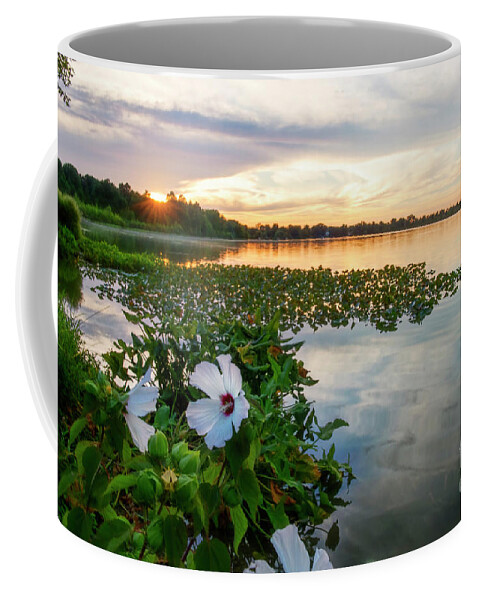 Flowers Coffee Mug featuring the photograph Flowers at Sunset by David Arment