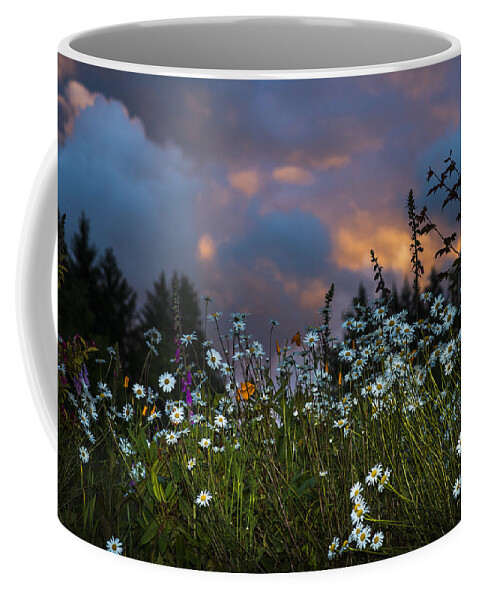 Flowers Coffee Mug featuring the photograph Flowers at Sunset by Robert Potts