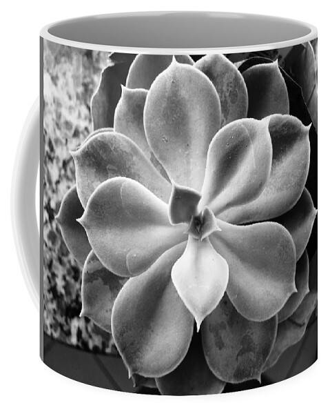 Flower Coffee Mug featuring the photograph Flowers everywhere by Thamires Oliveira