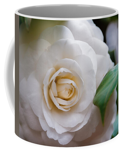 Flowers Coffee Mug featuring the photograph Fluffy Petals by Tim Stanley