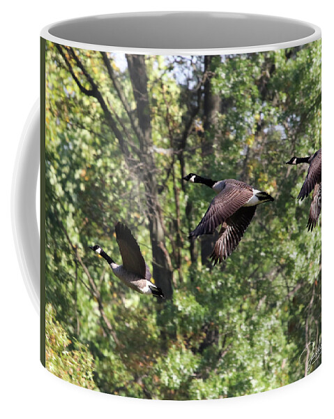 Geese Coffee Mug featuring the photograph Fly Away by Jackson Pearson