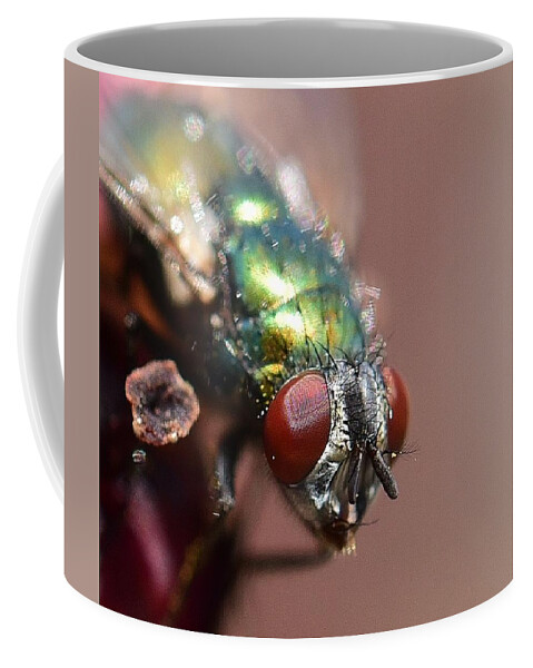 Linda Brody Coffee Mug featuring the photograph Fly Eyes by Linda Brody