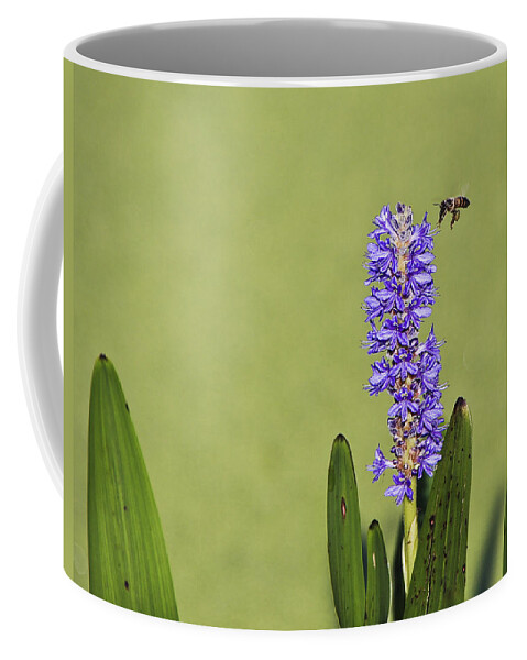 Art Coffee Mug featuring the photograph Flying and Buzzing by Jon Glaser