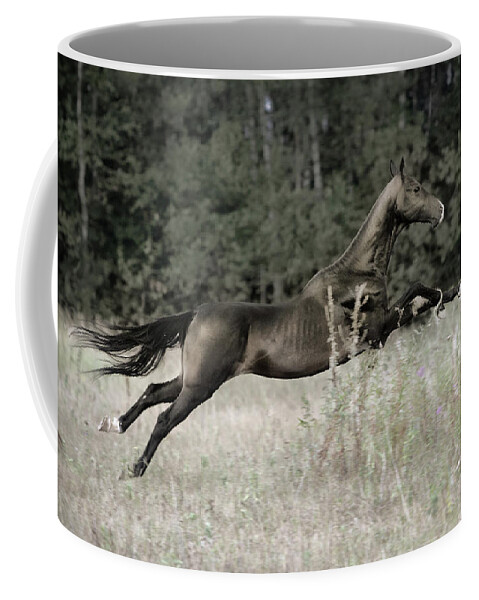 Russian Artists New Wave Coffee Mug featuring the photograph Flying Arrow by Ekaterina Druz