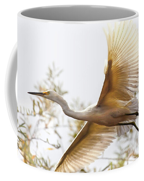 Egret Photography Coffee Mug featuring the photograph Flying Egret by Jerry Cowart