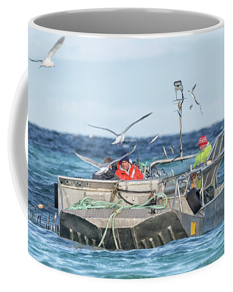 Herring Coffee Mug featuring the photograph Flying Fish by Randy Hall