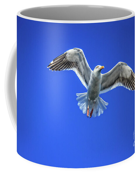 Bird Coffee Mug featuring the photograph Flying Gull by Robert Bales