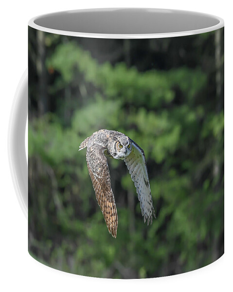 Nature Coffee Mug featuring the photograph Flying low... by Ian Sempowski