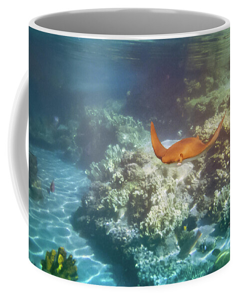 Fish Coffee Mug featuring the photograph Flying Manta Ray by Kimberly Blom-Roemer