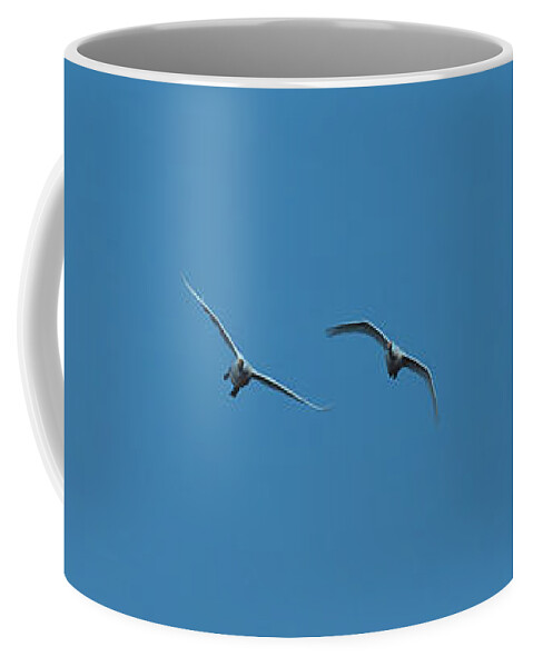 Swan Coffee Mug featuring the photograph Flying Swans #g0 by Leif Sohlman