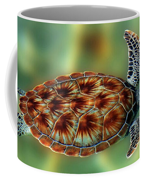 Photo For Sale Coffee Mug featuring the photograph Flying Turtle by Robert Wilder Jr