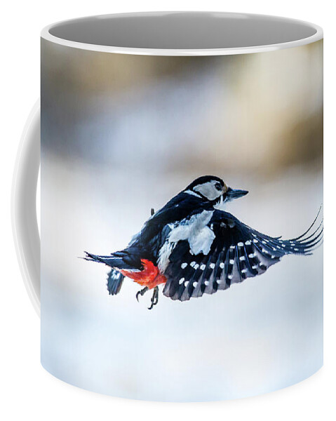 Flying Woodpecker Coffee Mug featuring the photograph Flying Woodpecker by Torbjorn Swenelius
