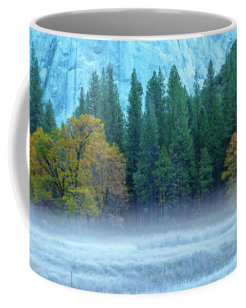 Nature Coffee Mug featuring the photograph Fog-Frost-Fall by Jonathan Nguyen