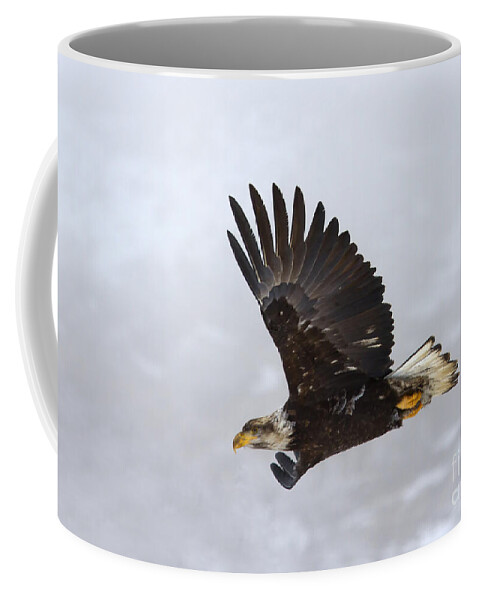 Eagle Coffee Mug featuring the photograph Foggy Flight by Michael Dawson