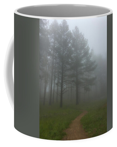 Landscape Coffee Mug featuring the photograph Foggy Path by Scott Cunningham