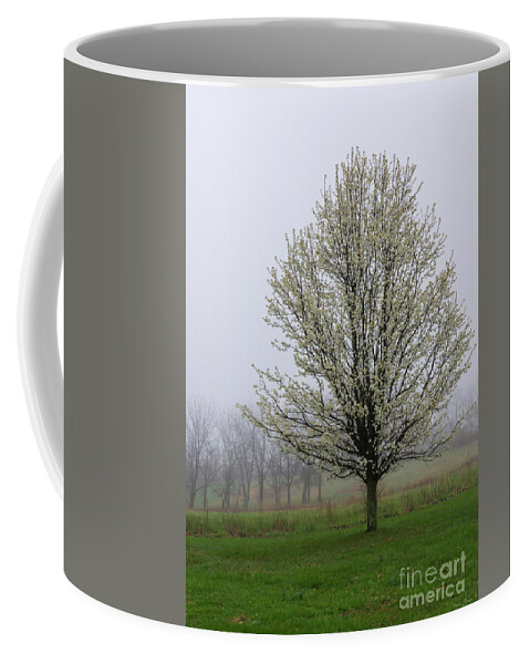 Bradford Pear Coffee Mug featuring the photograph Foggy Spring Evening by Jennifer White