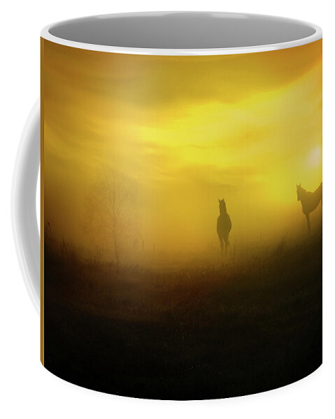 Foggy Sunset Coffee Mug featuring the photograph Foggy sunset by Lilia S