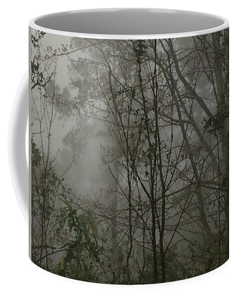 Fog Coffee Mug featuring the photograph Foggy Woods Photo by Gina O'Brien