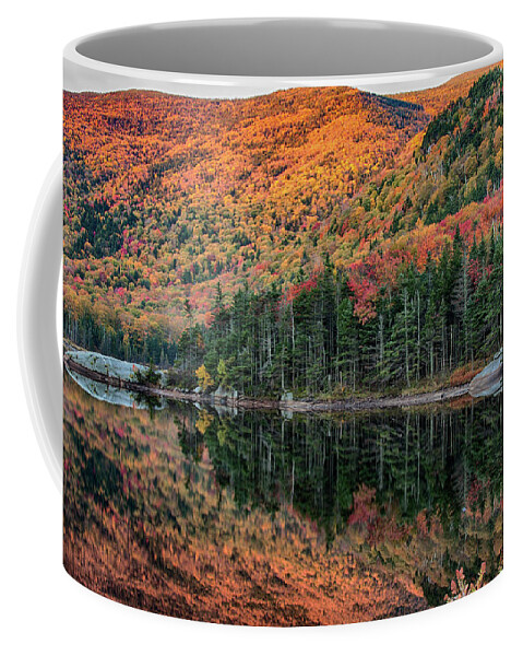 Beaver Pond Coffee Mug featuring the photograph foliage at dawn on Beaver pond by Jeff Folger