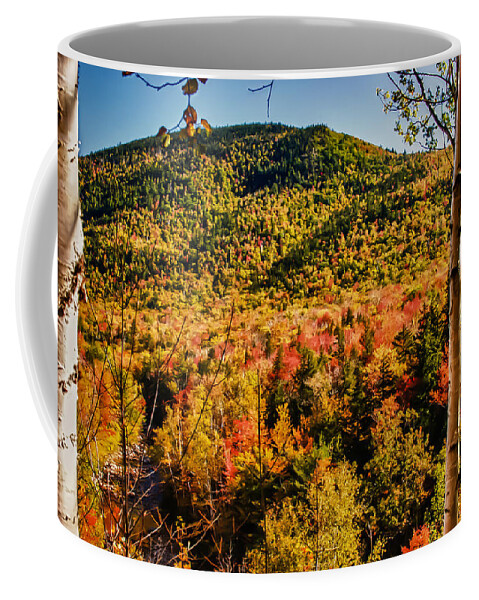 #fallfun Coffee Mug featuring the photograph Foliage View from Crawford Notch road by Jeff Folger