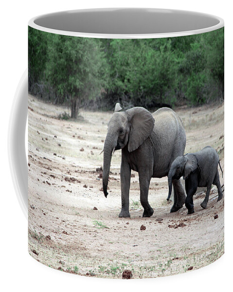 Elephant Coffee Mug featuring the photograph Follow Me by Samantha Delory