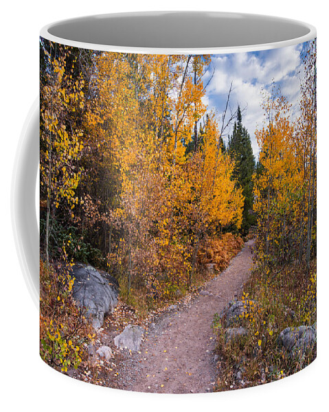 Estes Coffee Mug featuring the photograph Follow the Yellow Road - Glacier Gorge Rocky Mountain National Park - Estes Park Colorado by Silvio Ligutti
