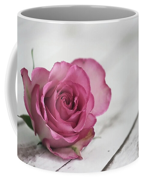 Rose Coffee Mug featuring the photograph Follow Your Soul by Vanessa Thomas