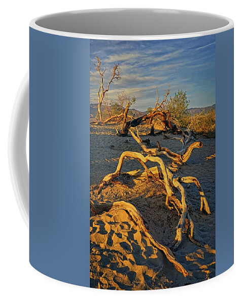 Mesquite Sand Dunes Coffee Mug featuring the photograph Footprints in Time by Theo O'Connor