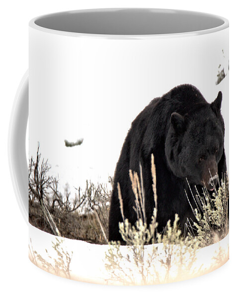 Black Bear Coffee Mug featuring the photograph Foraging Through The Northern Range Snow by Adam Jewell