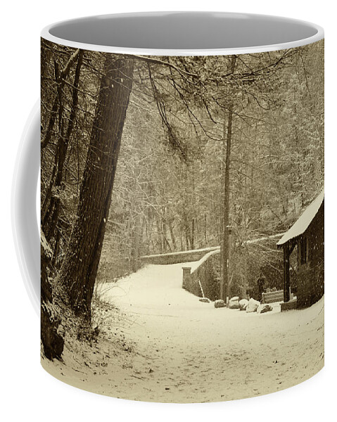 Wissahickon Coffee Mug featuring the photograph Forbidden Drive in Winter by Bill Cannon