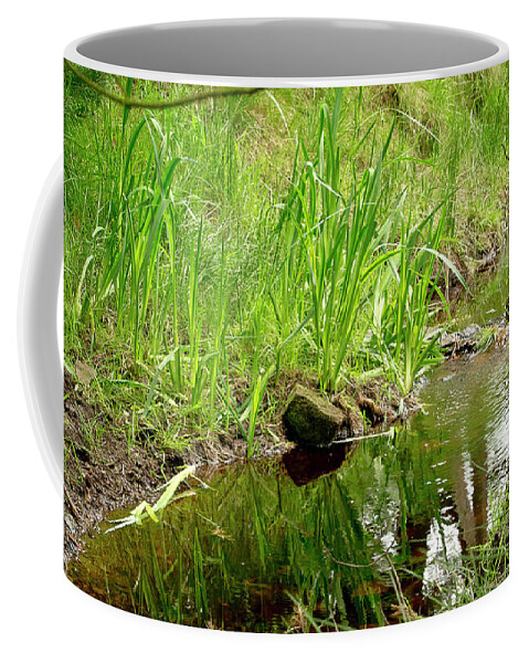Brook Coffee Mug featuring the photograph Forest Brook by Elena Perelman