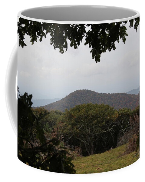 Mountains Coffee Mug featuring the photograph Forest Dark Space by Allen Nice-Webb