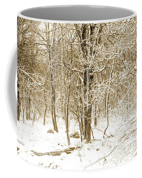 Forest Coffee Mug featuring the photograph Forest Edge with Snow, Winter, Pocono Mountains by A Macarthur Gurmankin