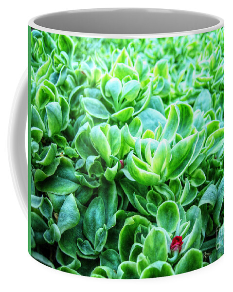 Cactus Coffee Mug featuring the photograph Forest Floor by Alina Nash