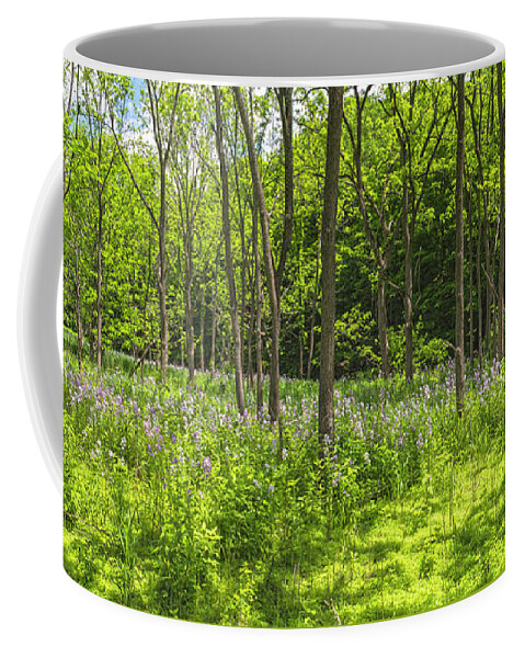 Wildflowers Coffee Mug featuring the photograph Forest Floor Dame's Rocket by Angelo Marcialis