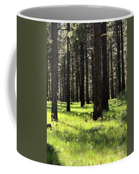 Forest /meadow/grass/flowers/shadows/nature/beauty/ Coffee Mug featuring the photograph Forest Grass by Jennifer Lake