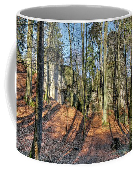 Forest Coffee Mug featuring the photograph Forest landscape in Bohemian Paradise by Michal Boubin