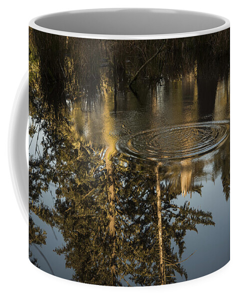 Clatsop County Coffee Mug featuring the photograph Forest Reflection by Robert Potts