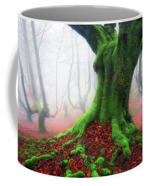 Roots Coffee Mug featuring the photograph Forest speeches by Mikel Martinez de Osaba