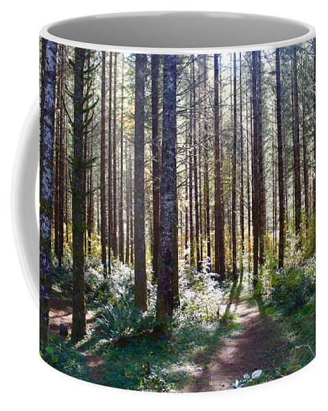 Forest Coffee Mug featuring the photograph Forest Stroll by Brian Eberly