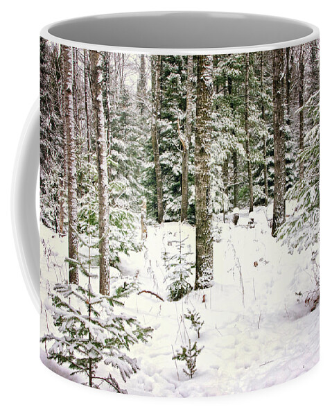 Forest Through The Trees Print Coffee Mug featuring the photograph Forest through the Trees Print by Gwen Gibson