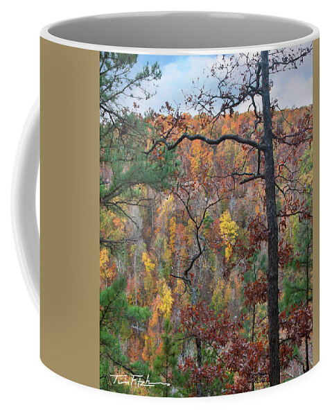 Autumn Coffee Mug featuring the photograph Forest by Tim Fitzharris