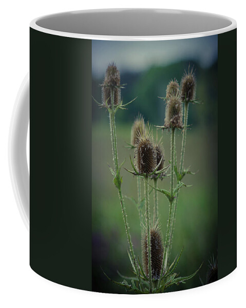 Winterpacht Coffee Mug featuring the photograph Forest Way by Miguel Winterpacht